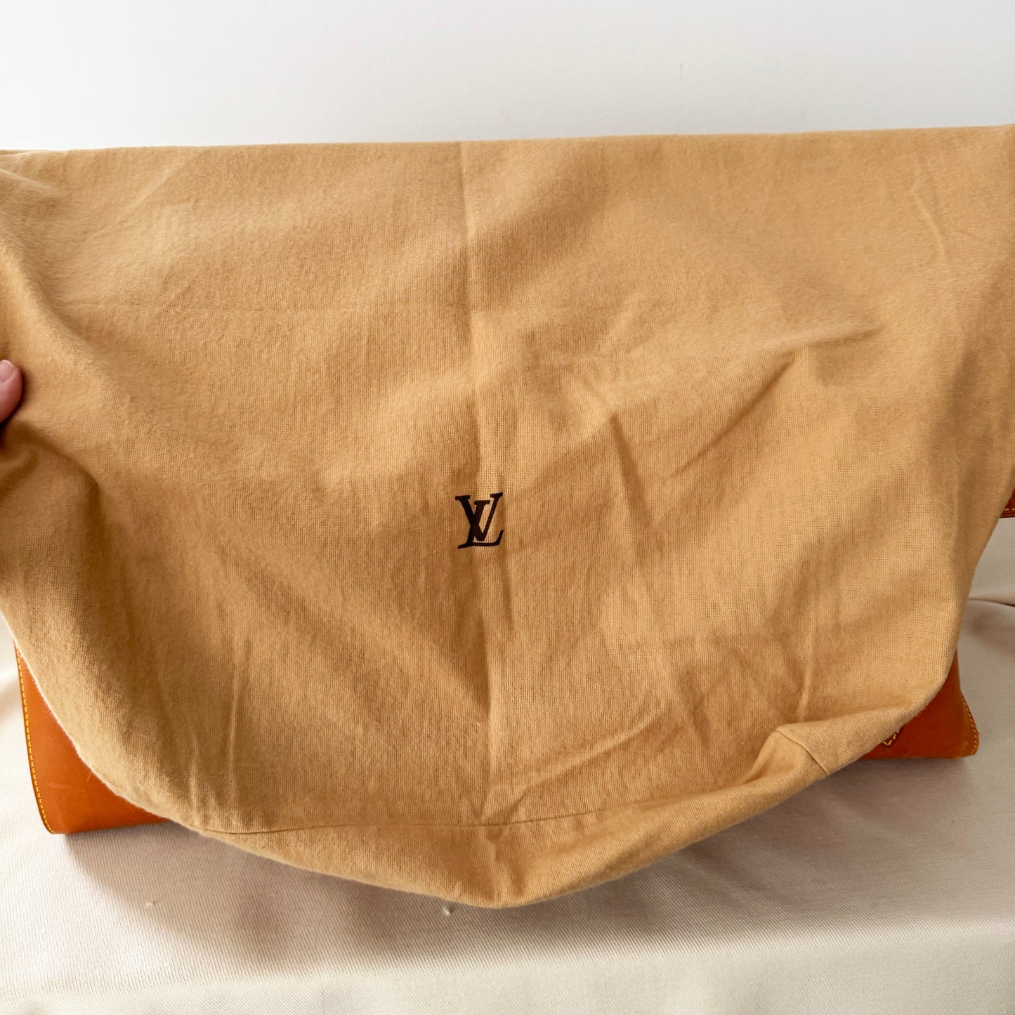Louis Vuitton "Nubie" Weekender Bag in Leather