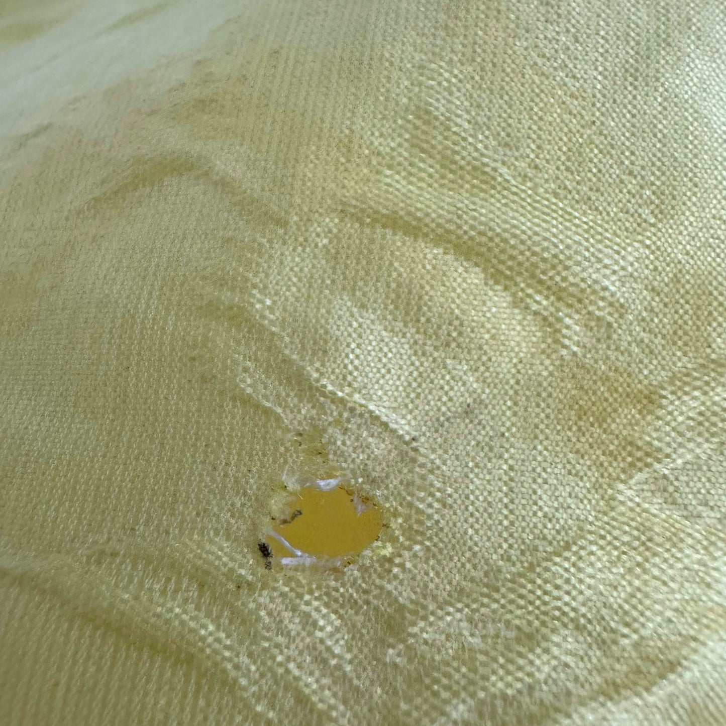 Cecilie Bahnsen "Nivi" Shorts in Yellow, size 4US/8UK ** AS IS **