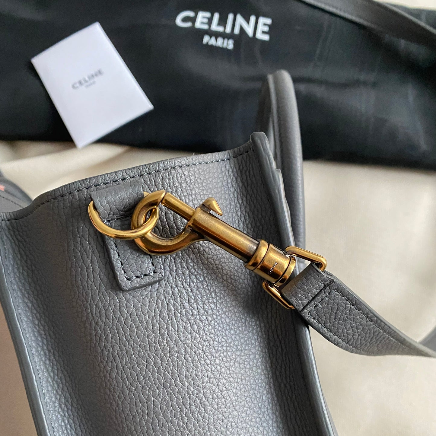 Celine Nano Luggage Bag in Grey