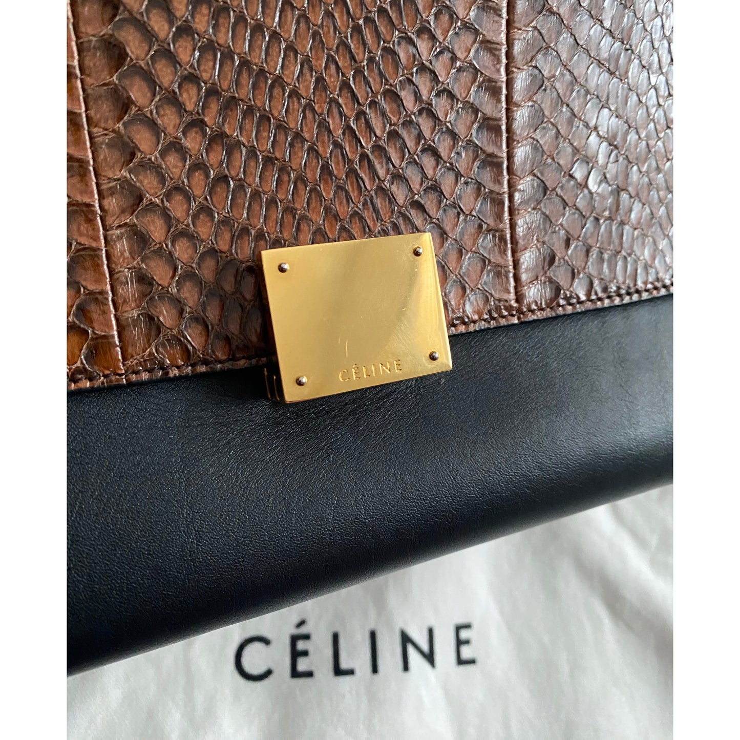 Celine Nano Trapeze Bag in Snakeskin/Black/Navy