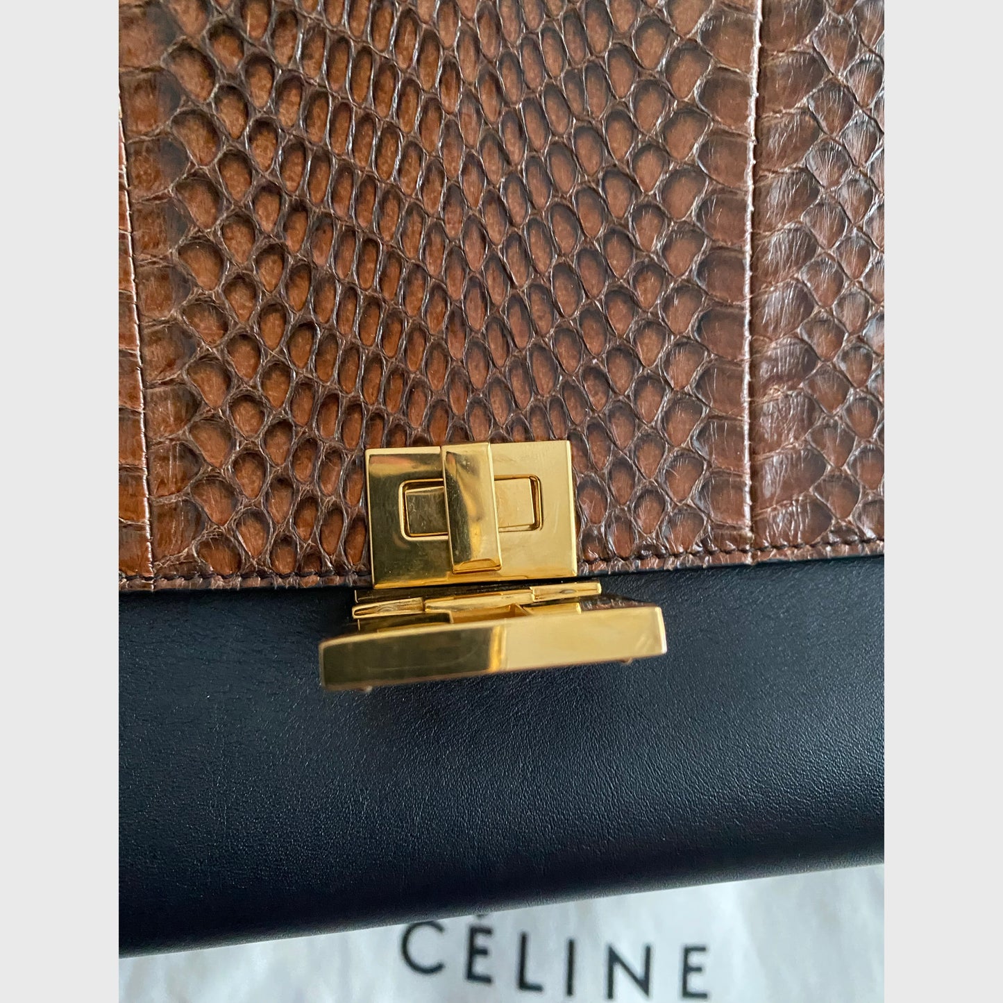 Celine Nano Trapeze Bag in Snakeskin/Black/Navy