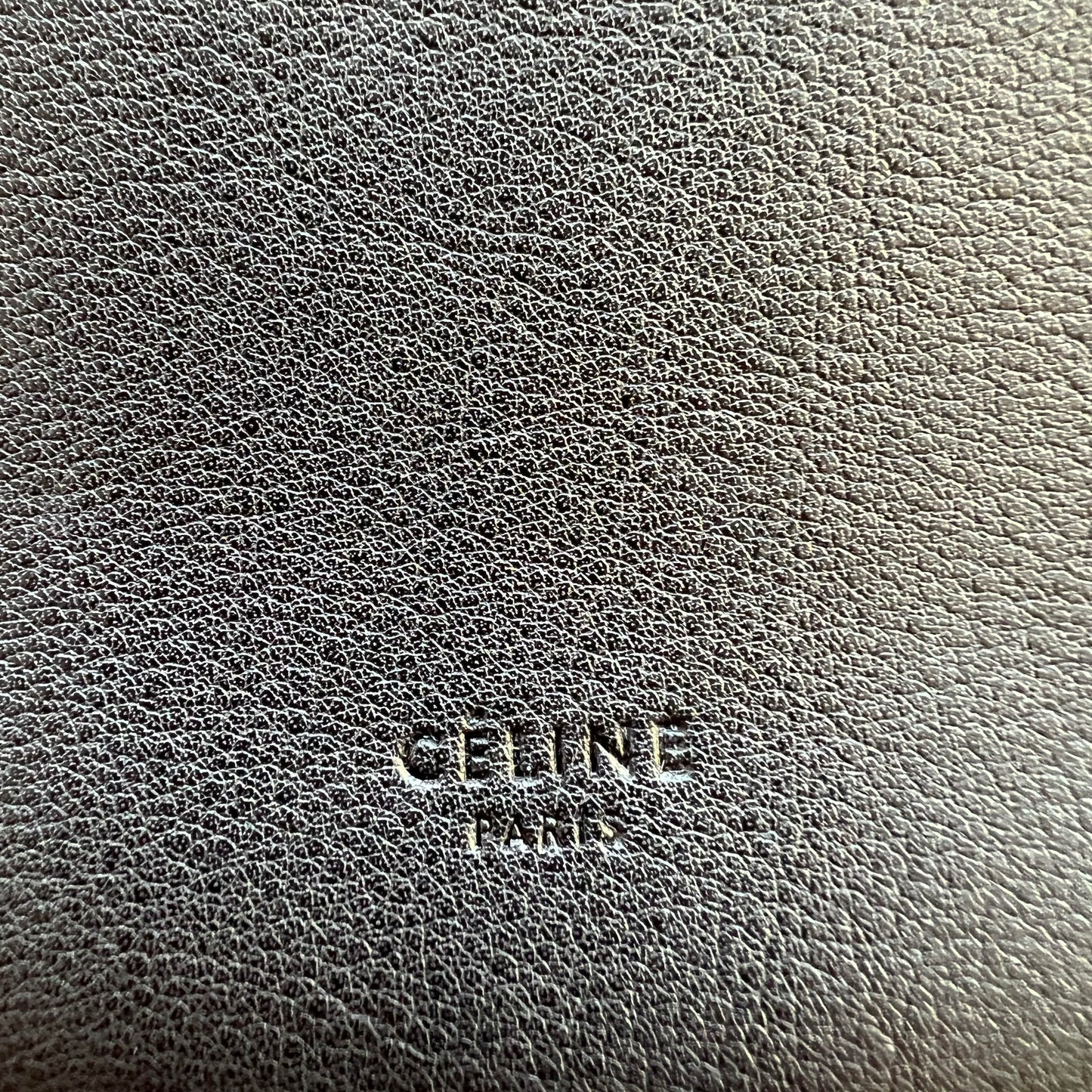 Celine Swing Bag in Black