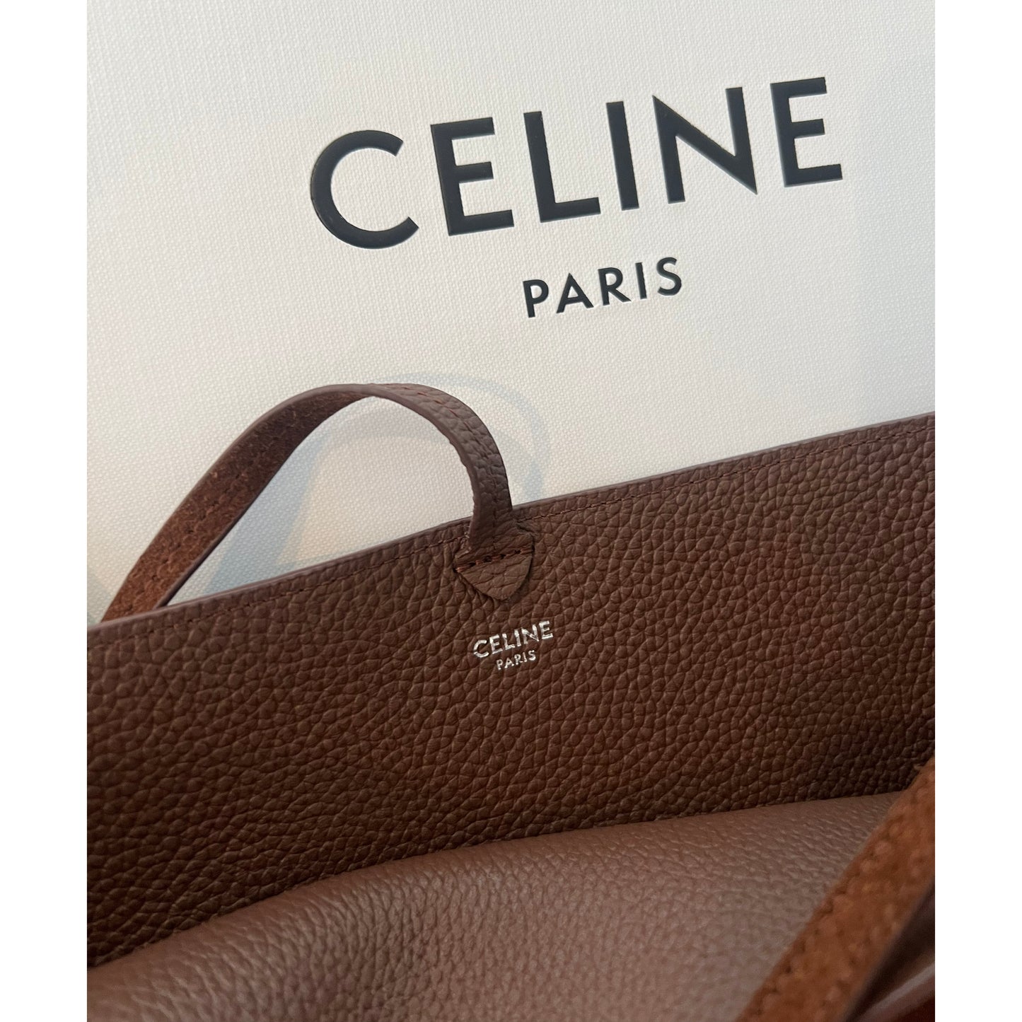 Celine Triomphe Bucket Bag in Brown Suede