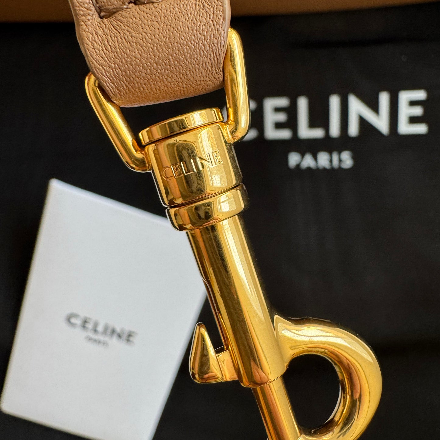 Celine Medium "Nino" Bag in Bronze
