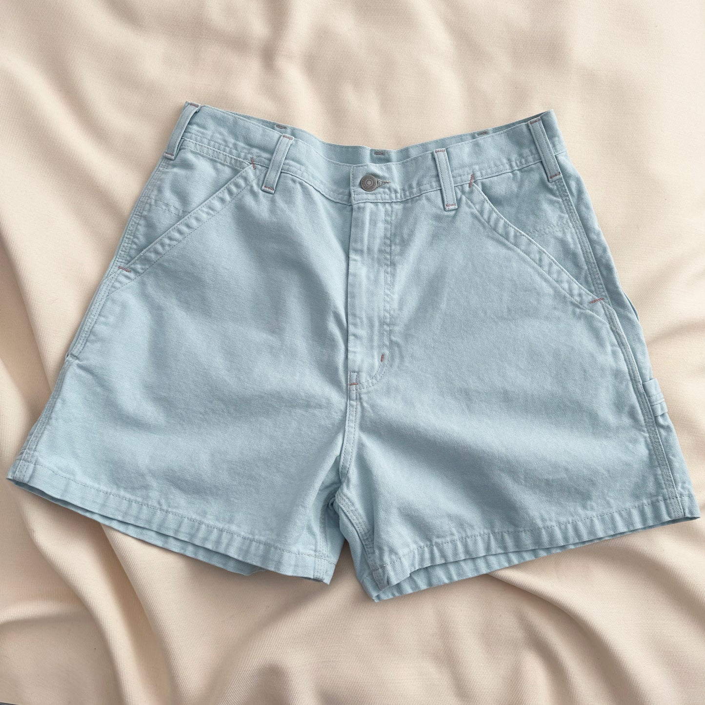 Denimist Carpenter Shorts in Blue, size 29