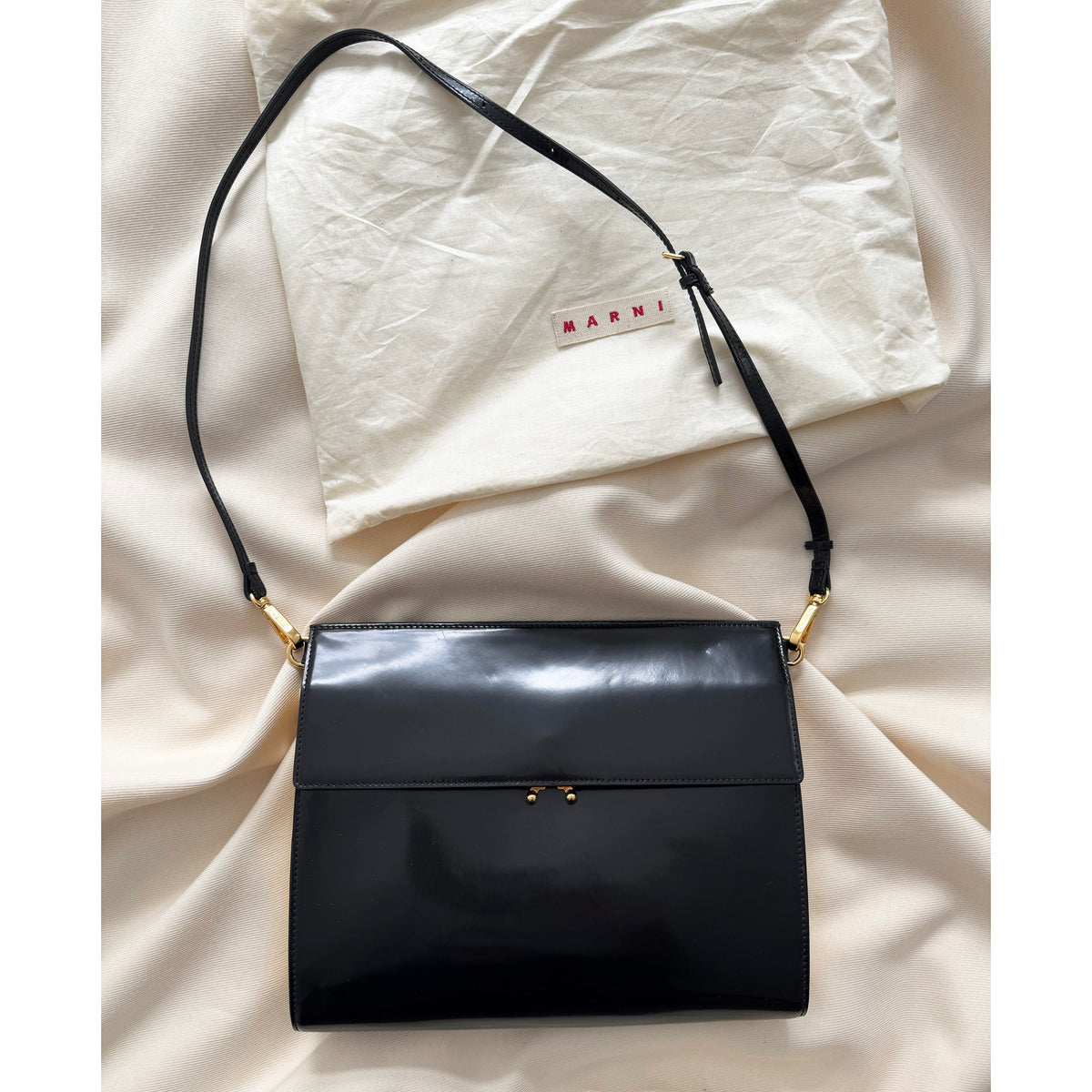 Marni Trunk Shoulder Bag with Gold Metal Frame