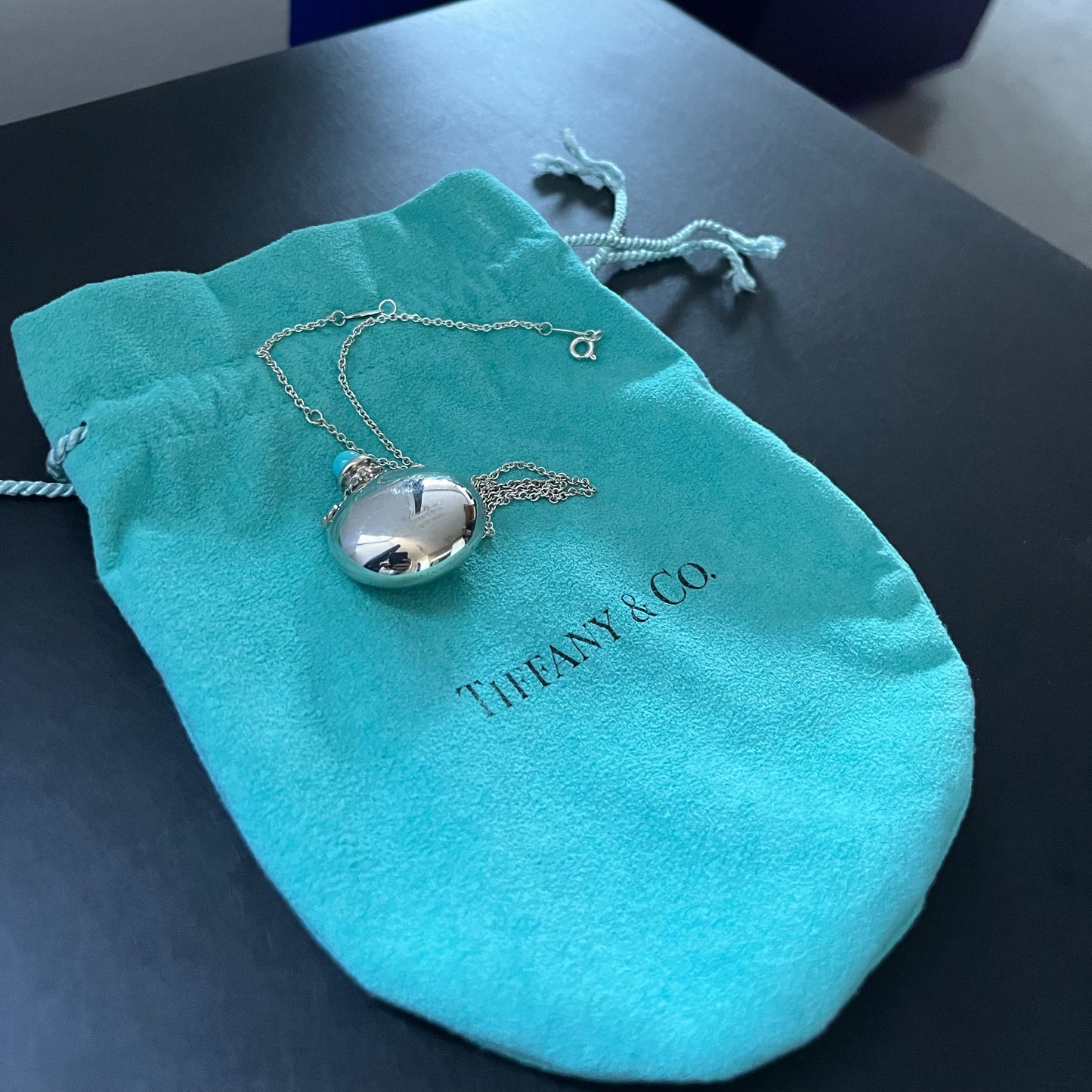 Tiffany x Elsa Peretti Bottle Round Bottle Pendant in Silver