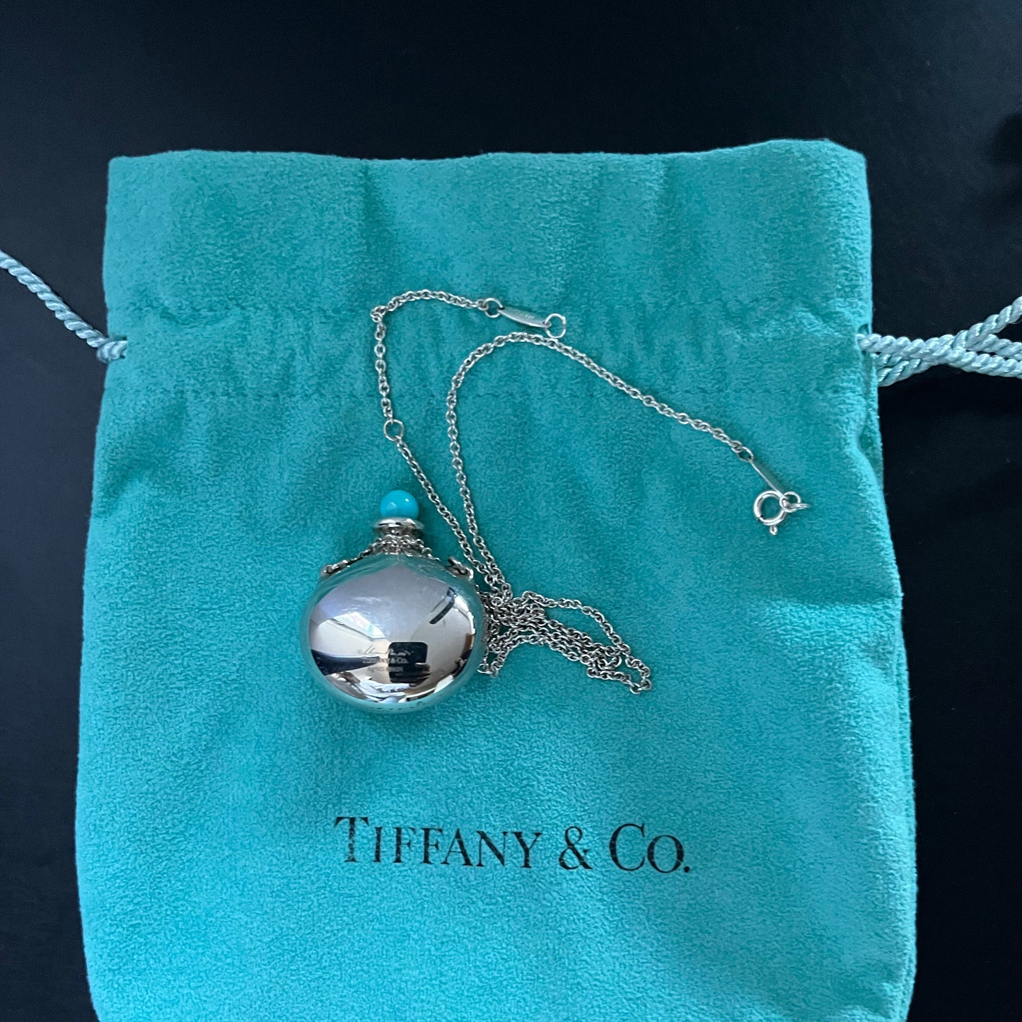Tiffany x Elsa Peretti Bottle Round Bottle Pendant in Silver