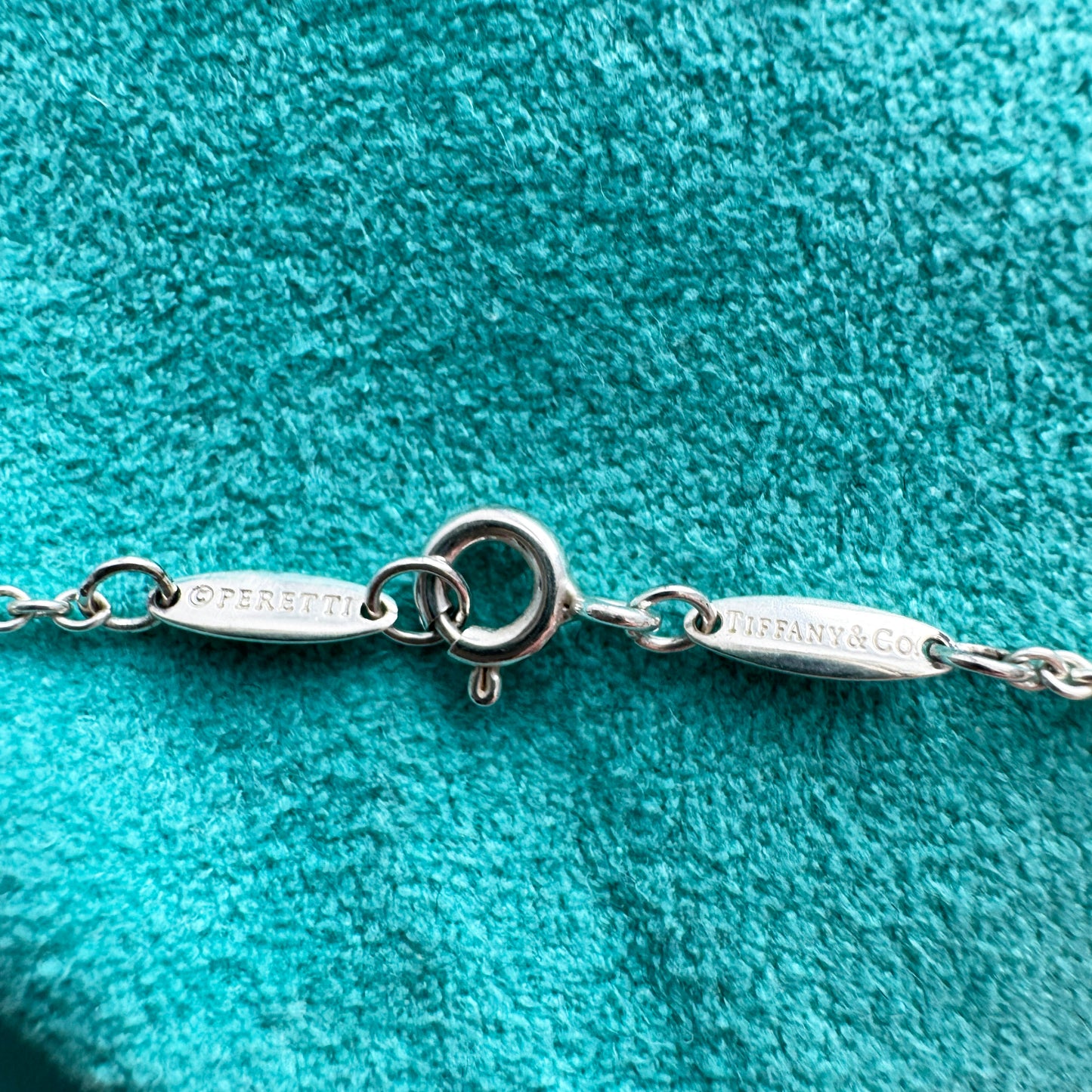 Tiffany x Elsa Peretti Bottle Round Bottle Pendant in Silver on 18" Chain