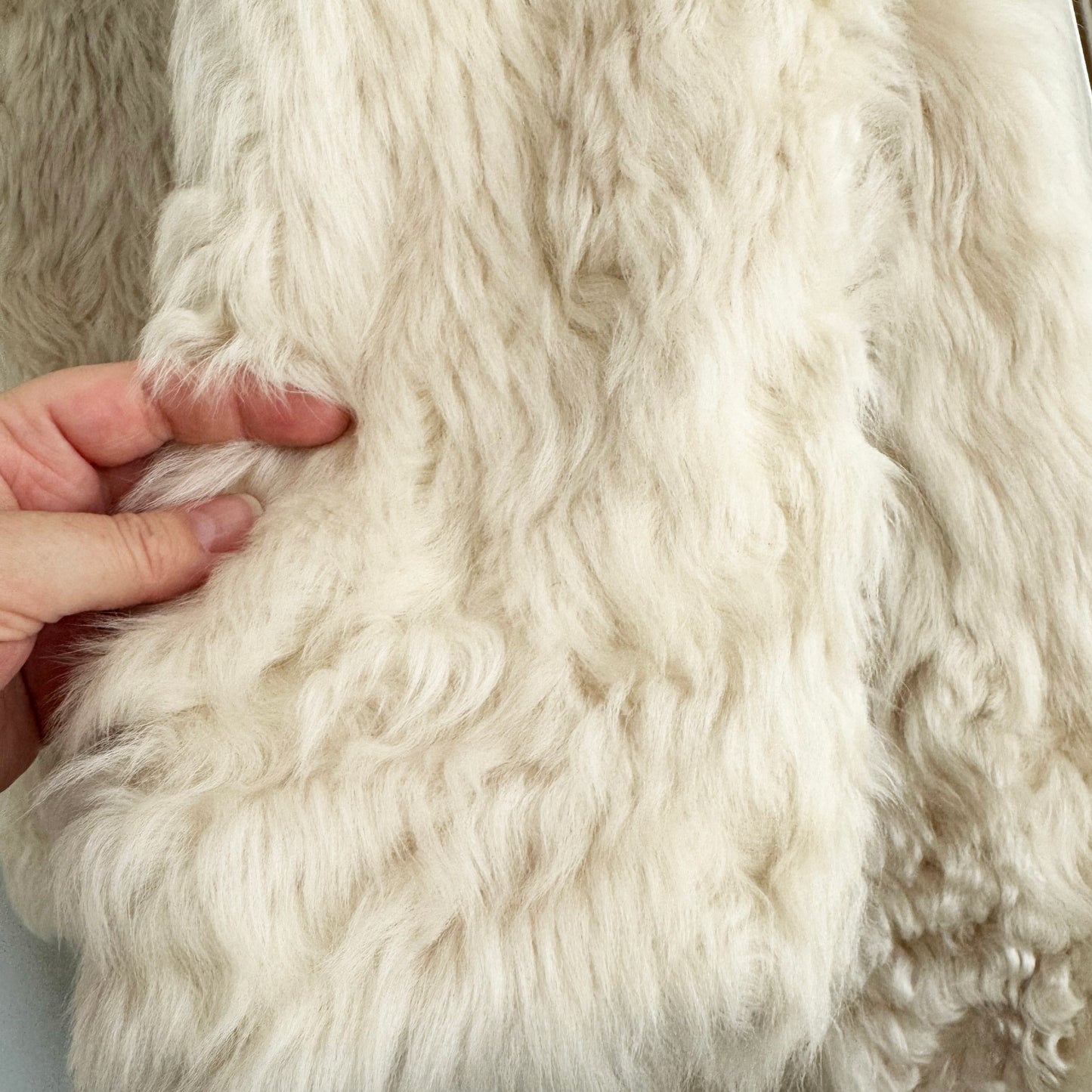 Yves Salomon Ivory Lamb Fur Coat w Belt, size 38 (fits 4/6)